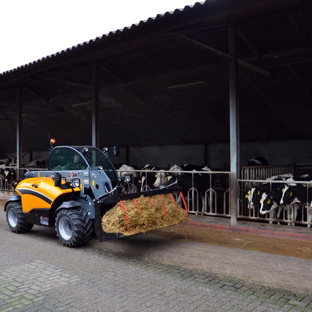 gt5048pelikaanbakgeschroefdetandenrb