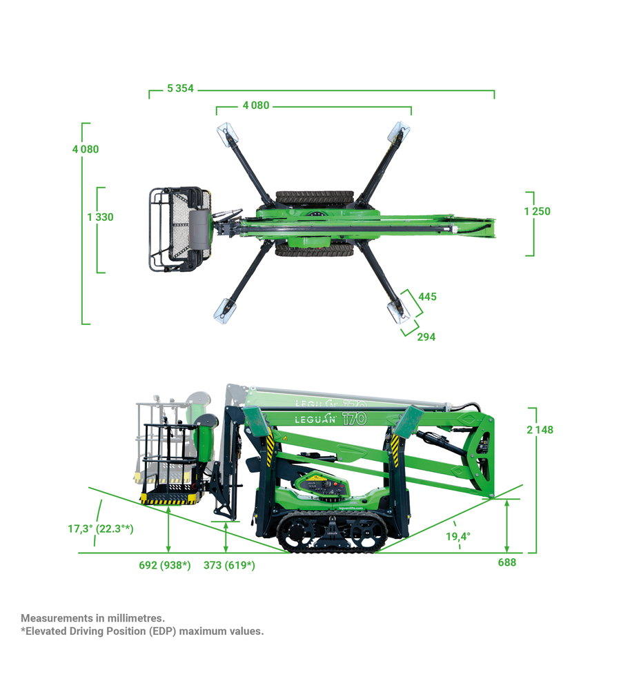 leguan-170-measurements-900x1000